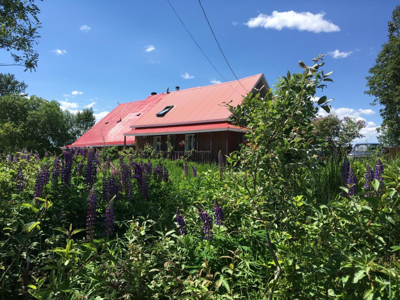 Отель L'Aubergine Saint Hilarion Экстерьер фото